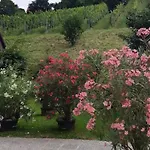 Apartman 2 Joebstl *