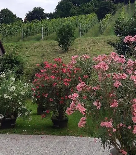 Appartement 2 Joebstl *